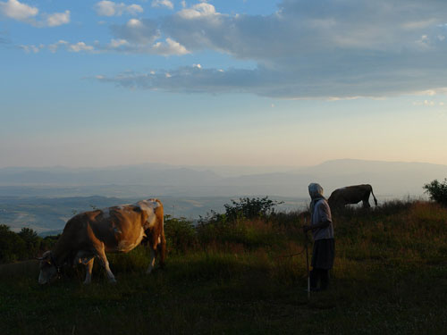 Foto in zori (c) Petru Goja